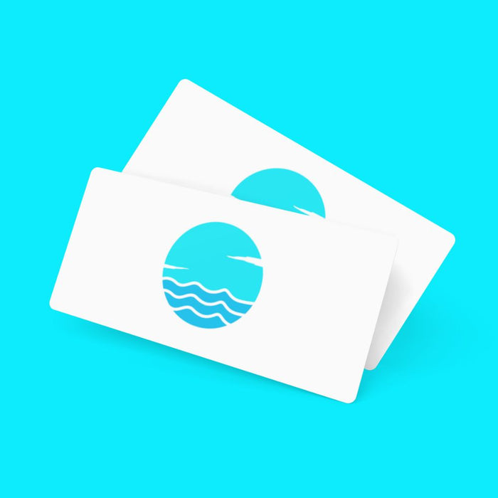 Michigan Beach Store Gift Card”